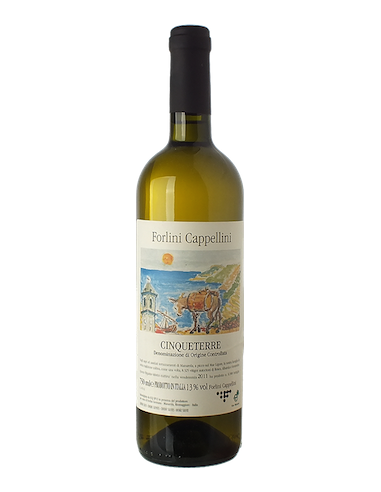 Vino online - Cinqueterre Forlini Cappellini